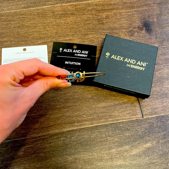 Alex and Ani Jewelry - Alex and Ani Indigo Blue Adjustable Bracelet Bangle